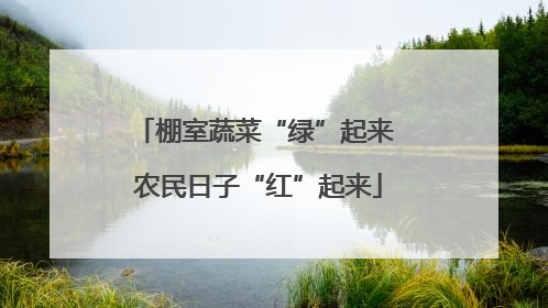 棚室蔬菜“绿”起来 农民日子“红”起来